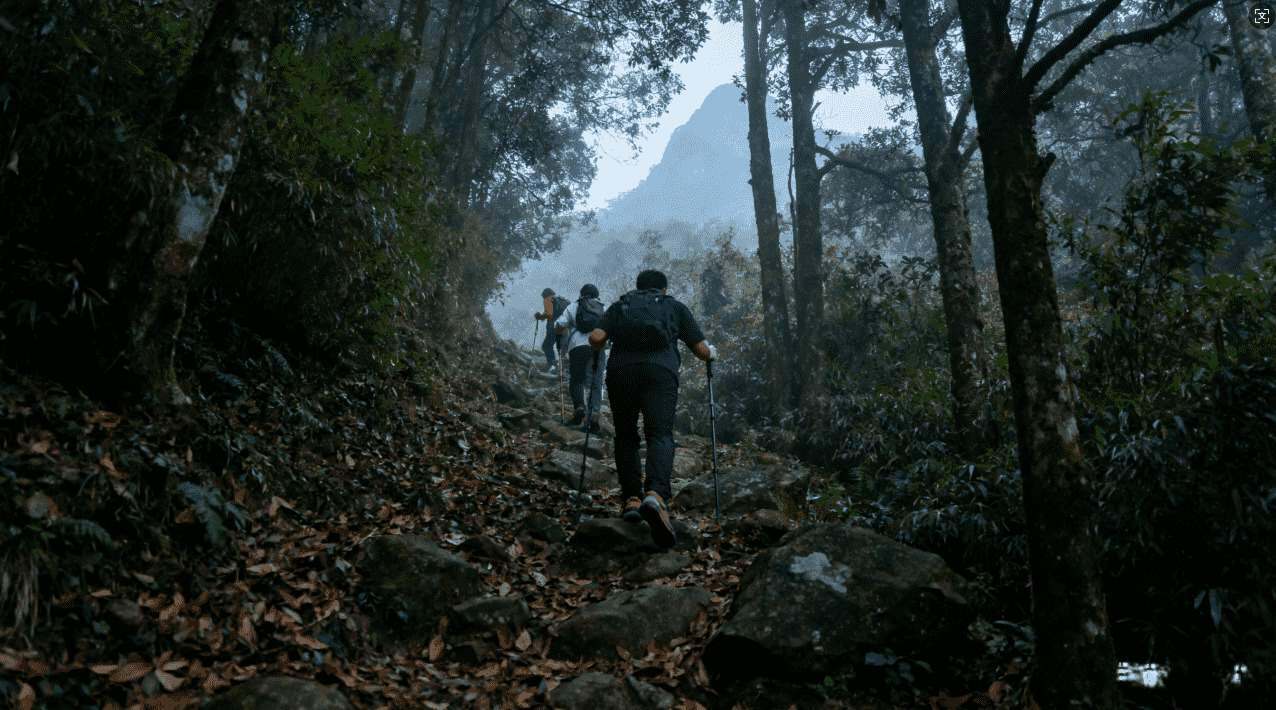 免费加速器旋风下载安装教程详解